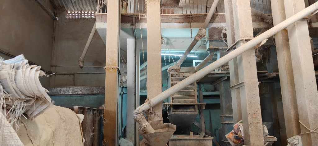 Cleaning and Sorting Lines