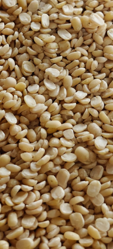 Premium Orid Gota Sample