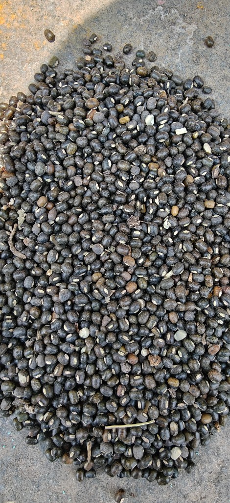 Raw Farmer Product